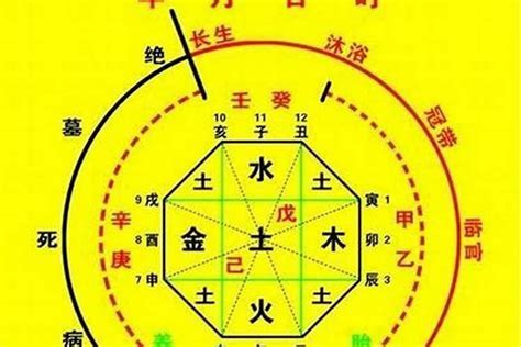 八字 命主|生辰八字算命、五行喜用神查询（免费测算）